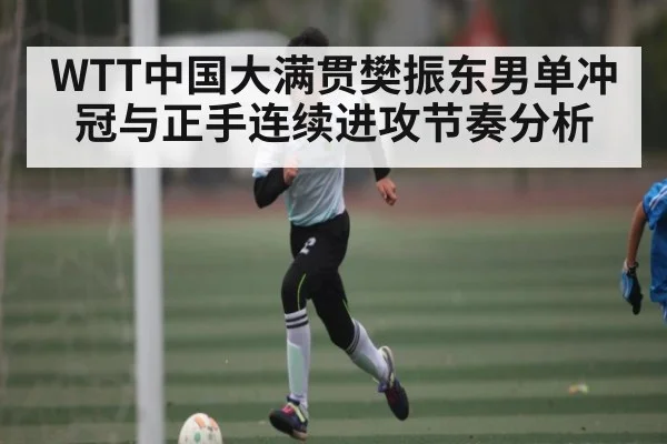 WTT中国大满贯樊振东男单冲冠与正手连续进攻节奏分析