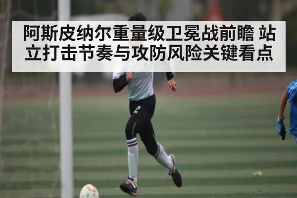 阿斯皮纳尔重量级卫冕战前瞻 站立打击节奏与攻防风险关键看点